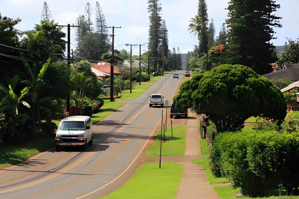 Pineapple Island Lanai