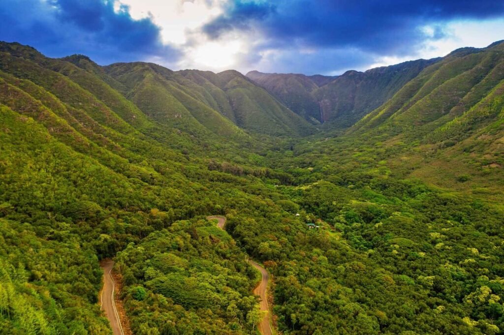 Molokai Forest Reserve: Embark on Nature Hikes Through Diverse Ecosystems