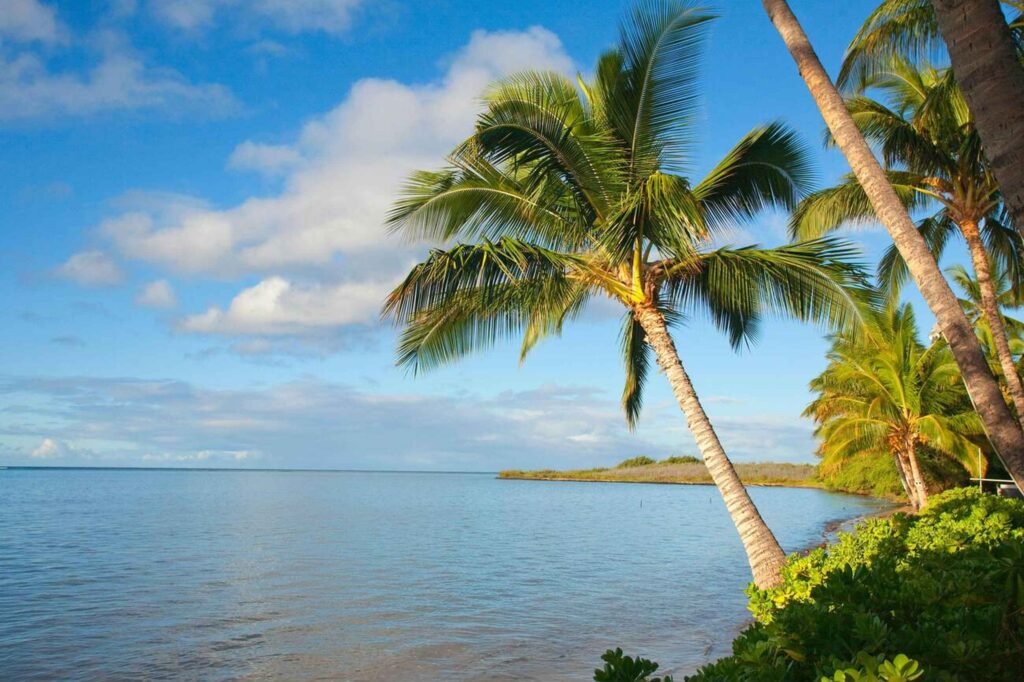 Molokai Island is a hidden treasure in the Hawaiian archipelago. It offers a peaceful escape from the crowds found in more famous places.