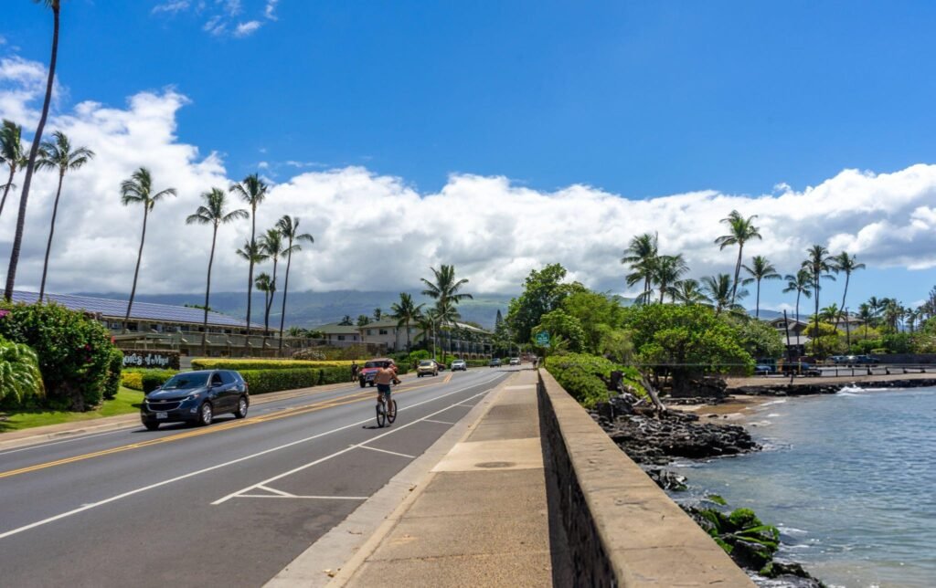 south maui hotels