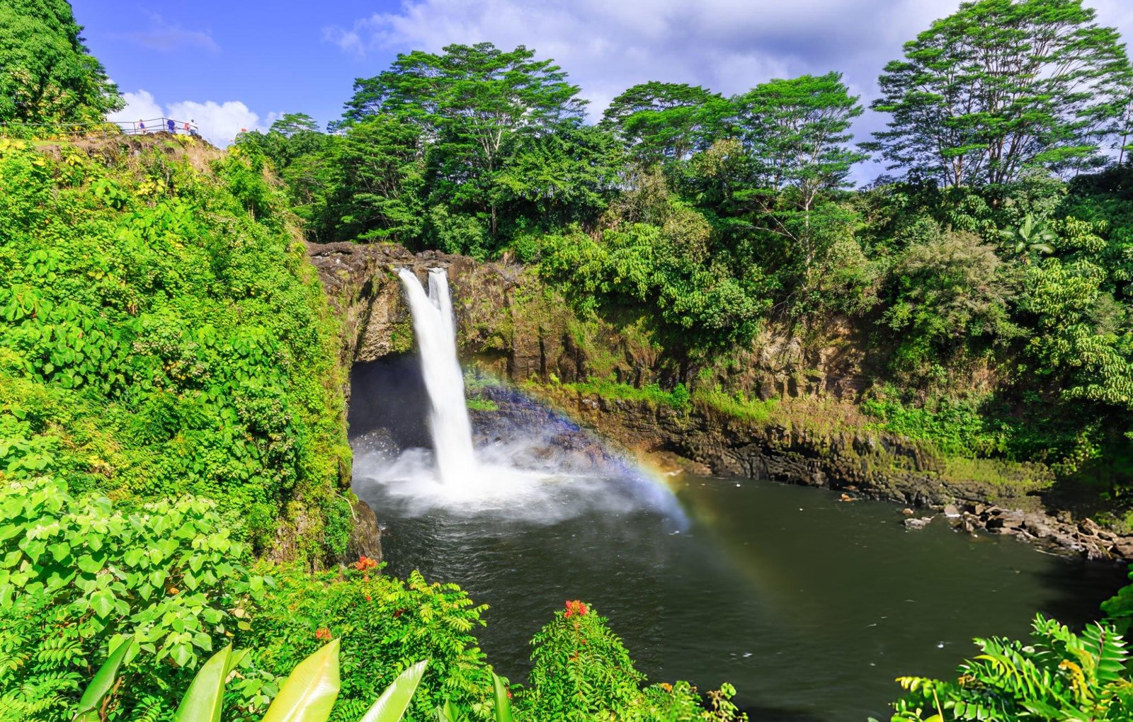 Top Big Island Waterfall Tours